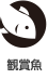 観賞魚